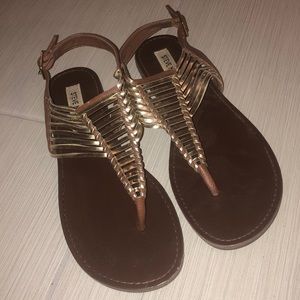 Brown and gold detail sandals Steve Madden